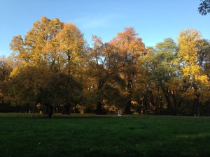IMG_7188